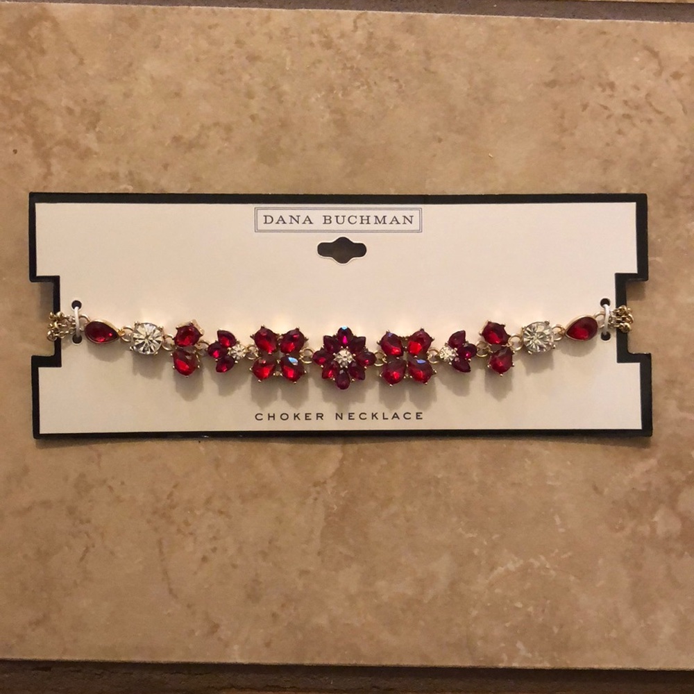 NEW Dana Buchanan chocked necklace